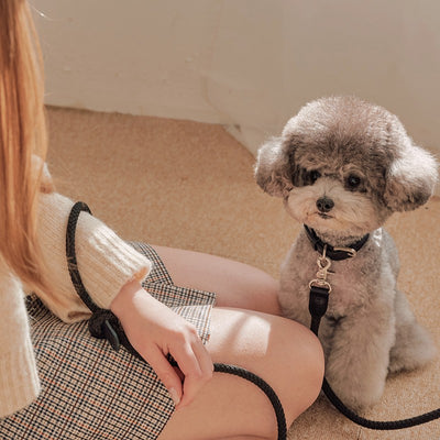 【予約】Rope collar(ブラック)