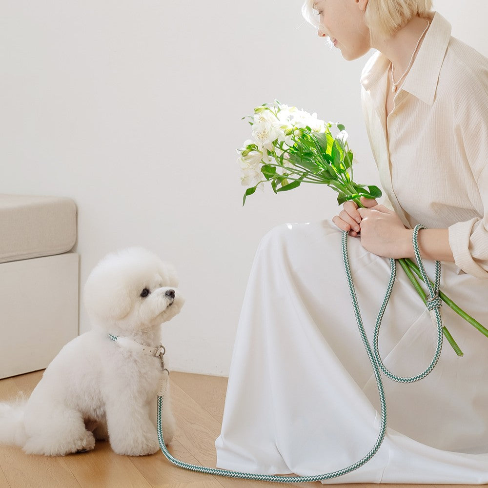 【予約】Rope leash classic - 1.8m(フォレストグリーン)