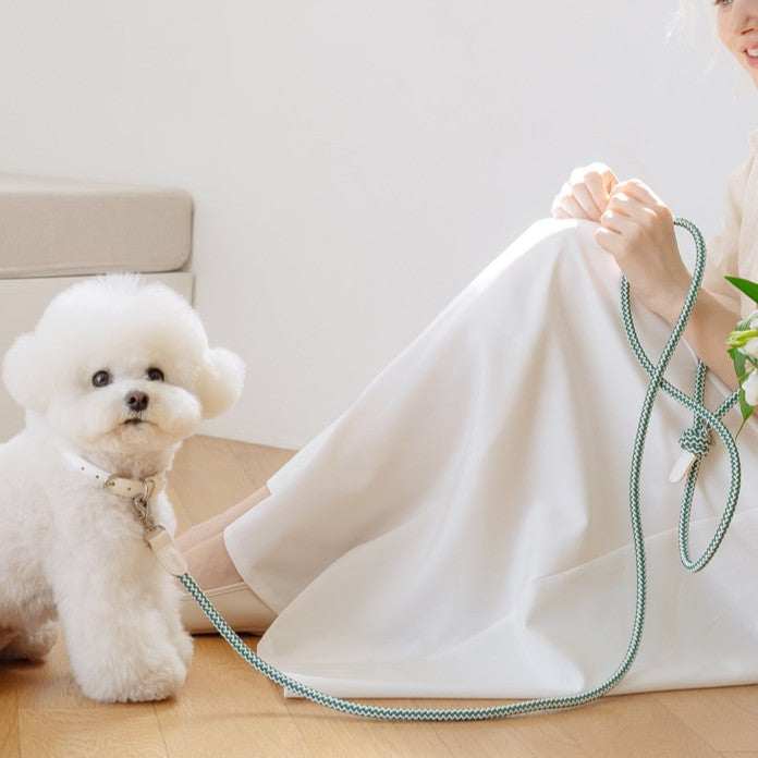 【予約】Rope leash classic - 1.8m(フォレストグリーン)