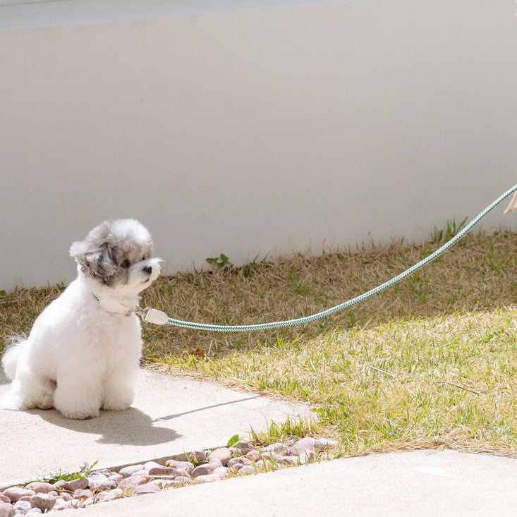 【予約】Rope leash classic - 1.8m(フォレストグリーン)