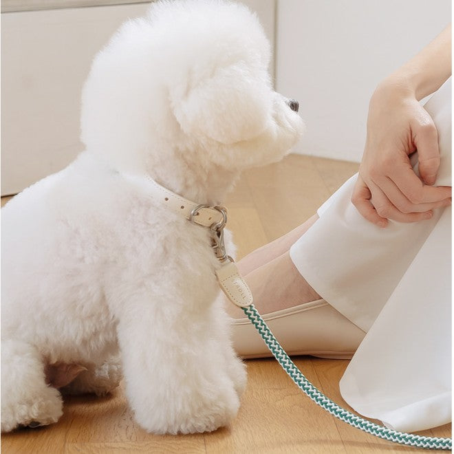 【予約】Rope leash classic - 1.8m(フォレストグリーン)