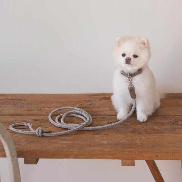 【予約】Rope leash classic - 1.8m(アッシュグレー)