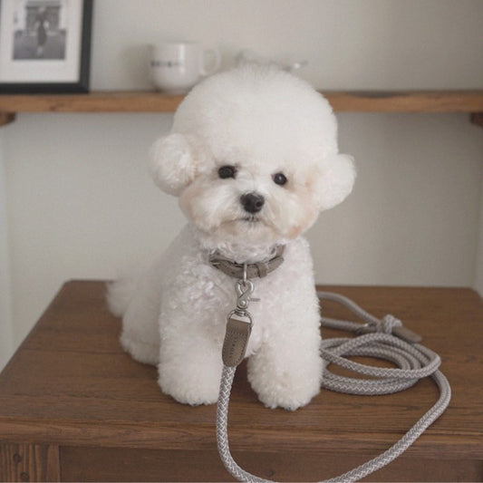 【予約】Rope collar(アッシュグレー)