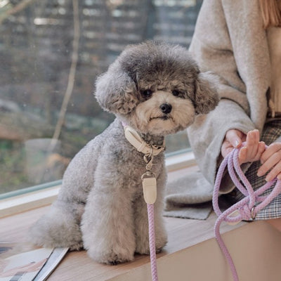 【即納】Rope leash classic - 1.8m(ライラック)