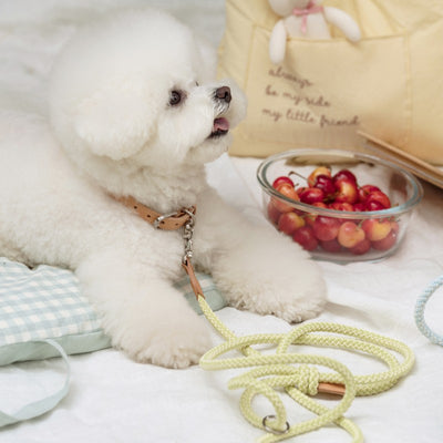 【予約】Rope collar(レモンライム)