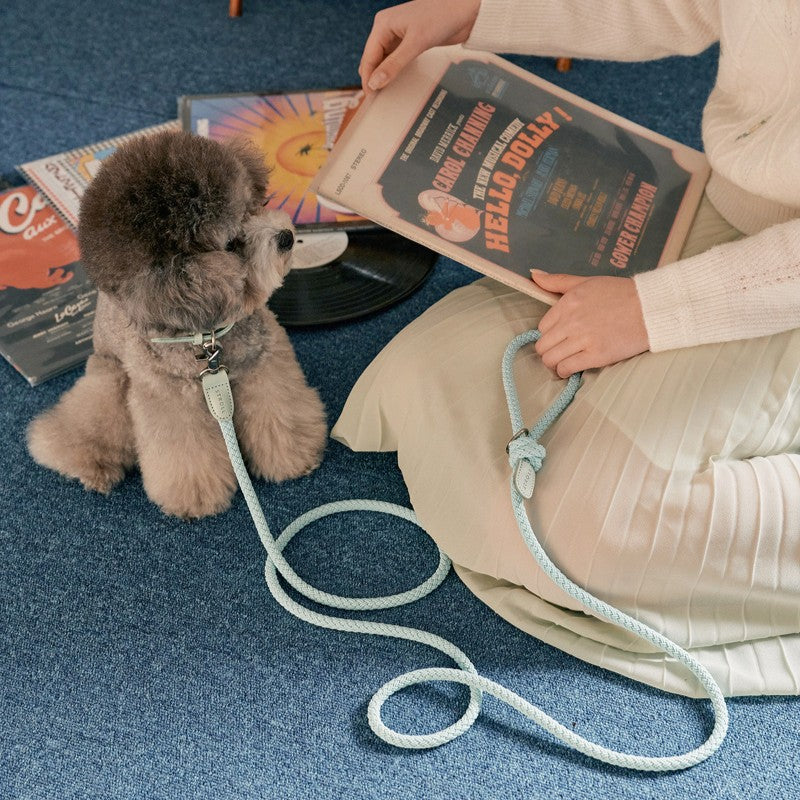 【予約】Rope collar(ミント)