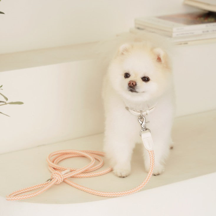 【予約】Rope leash classic - 1.8m(コーラル)