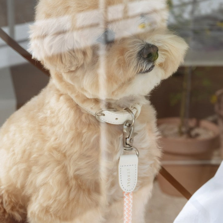 【予約】Rope leash classic - 1.8m(コーラル)