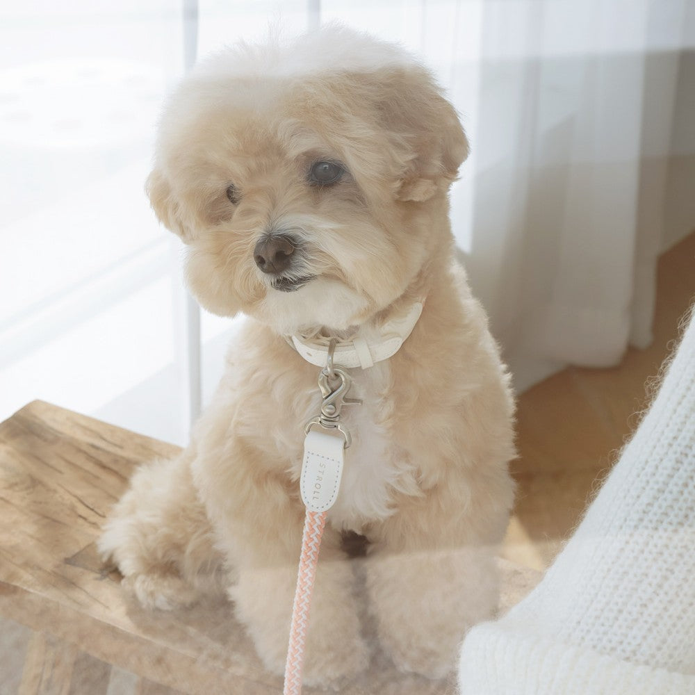 【予約】Rope leash classic - 1.8m(コーラル)