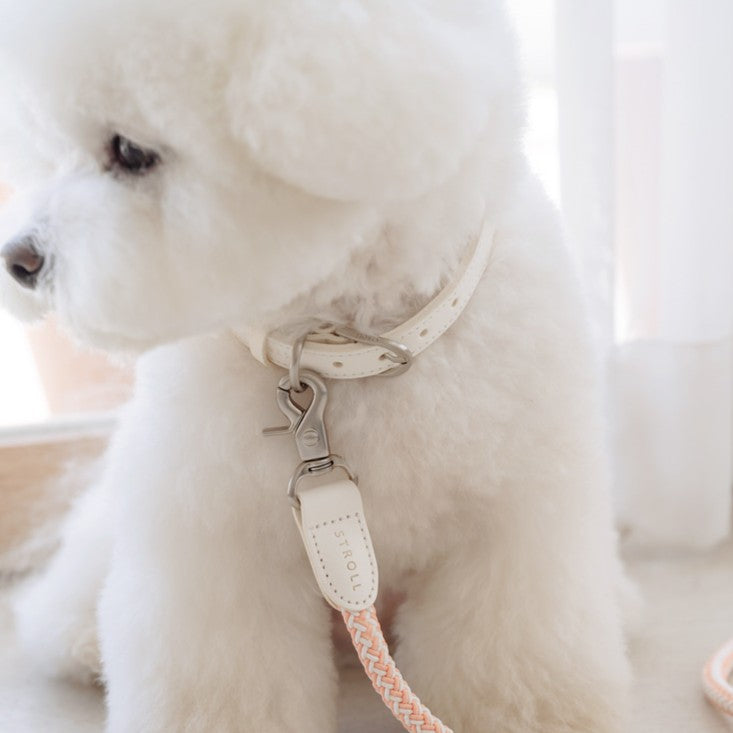 【予約】Rope leash classic - 1.8m(コーラル)