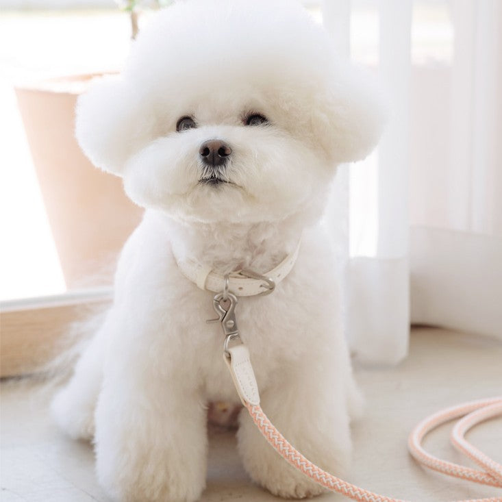 【予約】Rope leash classic - 1.8m(コーラル)