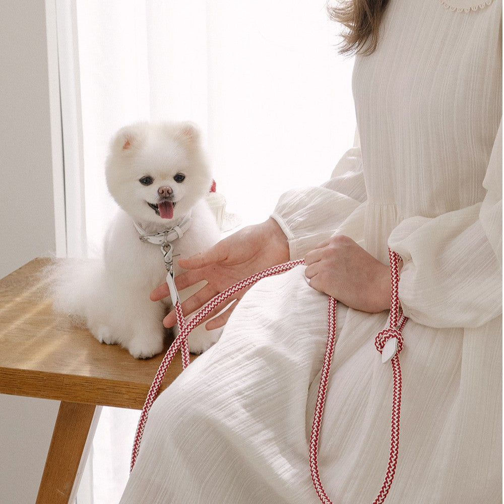 【予約】Rope collar(レッドベルベット)