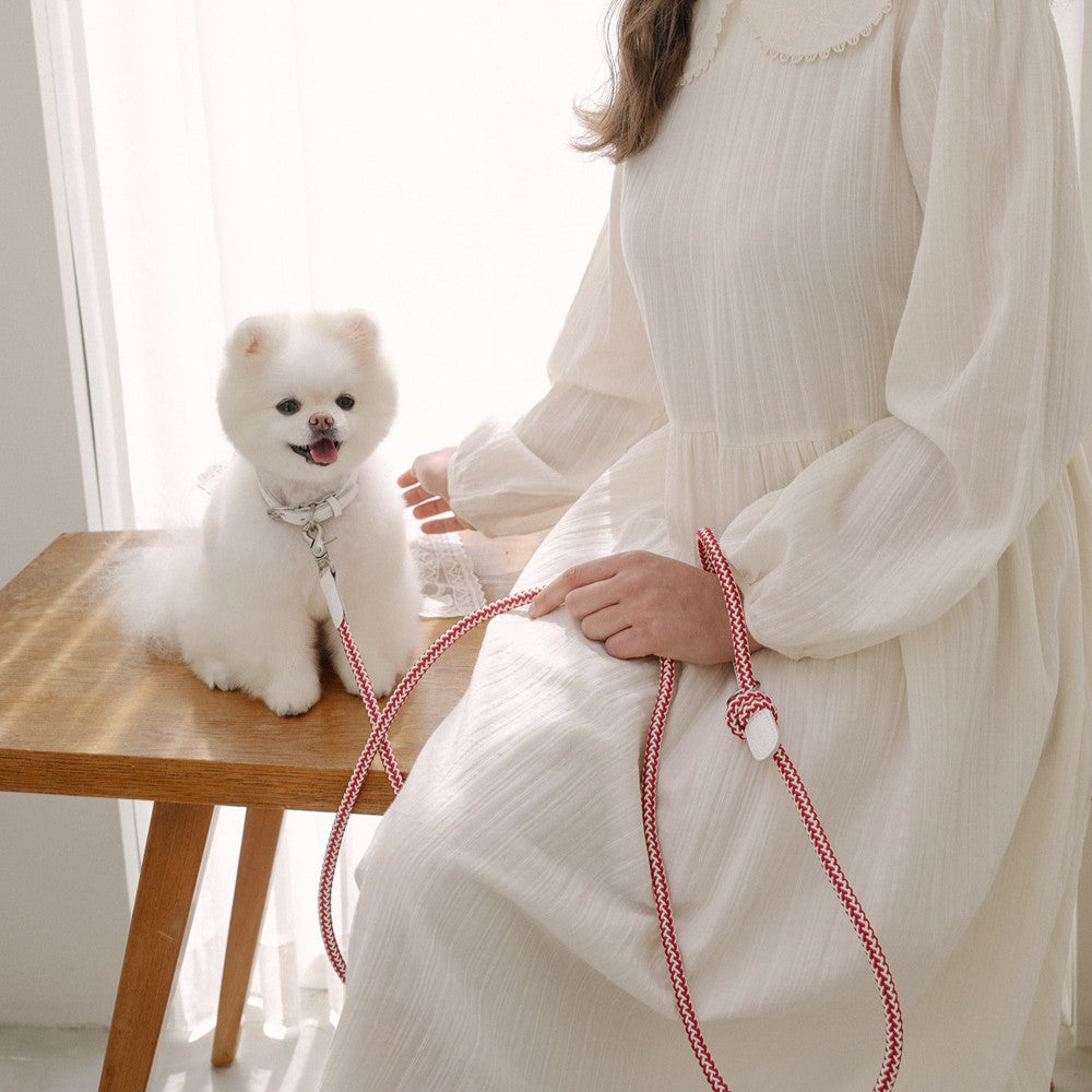 【予約】Rope collar(レッドベルベット)