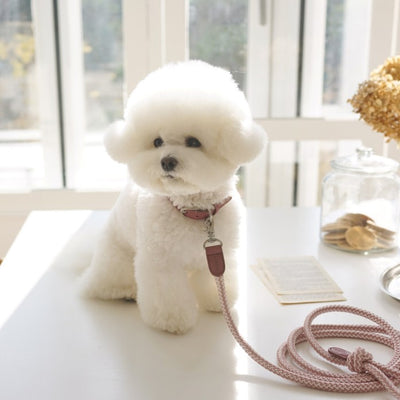 【予約】Rope collar(ビンテージローズ)