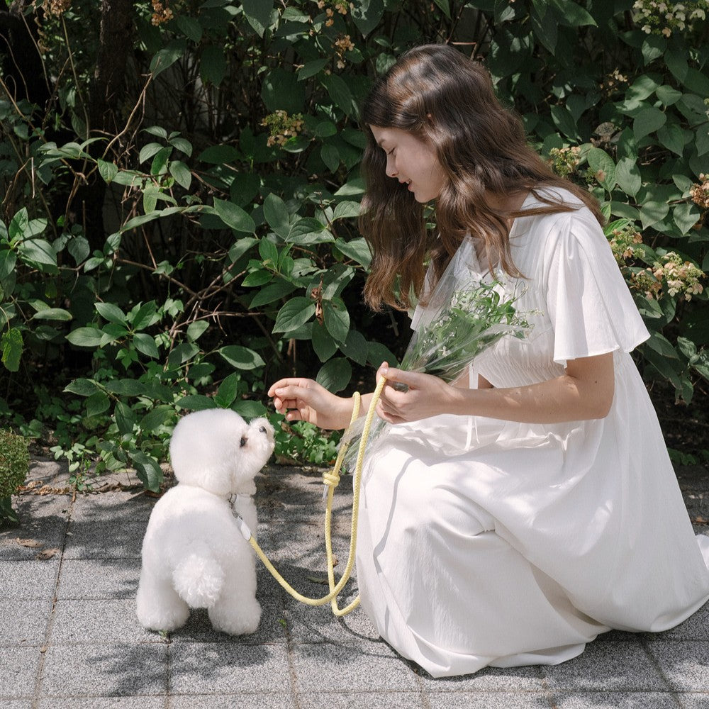 【予約】Rope leash classic - 1.8m(レモン)