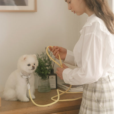 【予約】Rope leash classic - 1.8m(レモン)