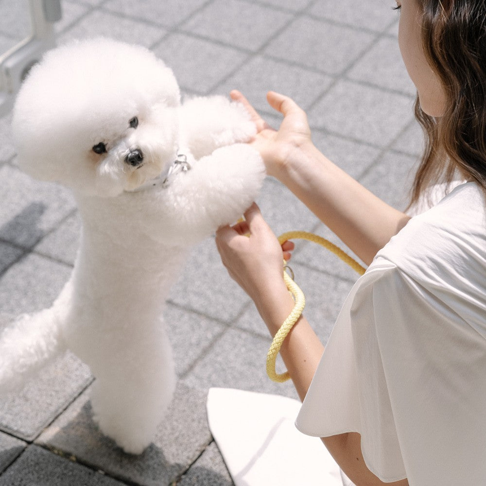【予約】Rope leash classic - 1.8m(レモン)