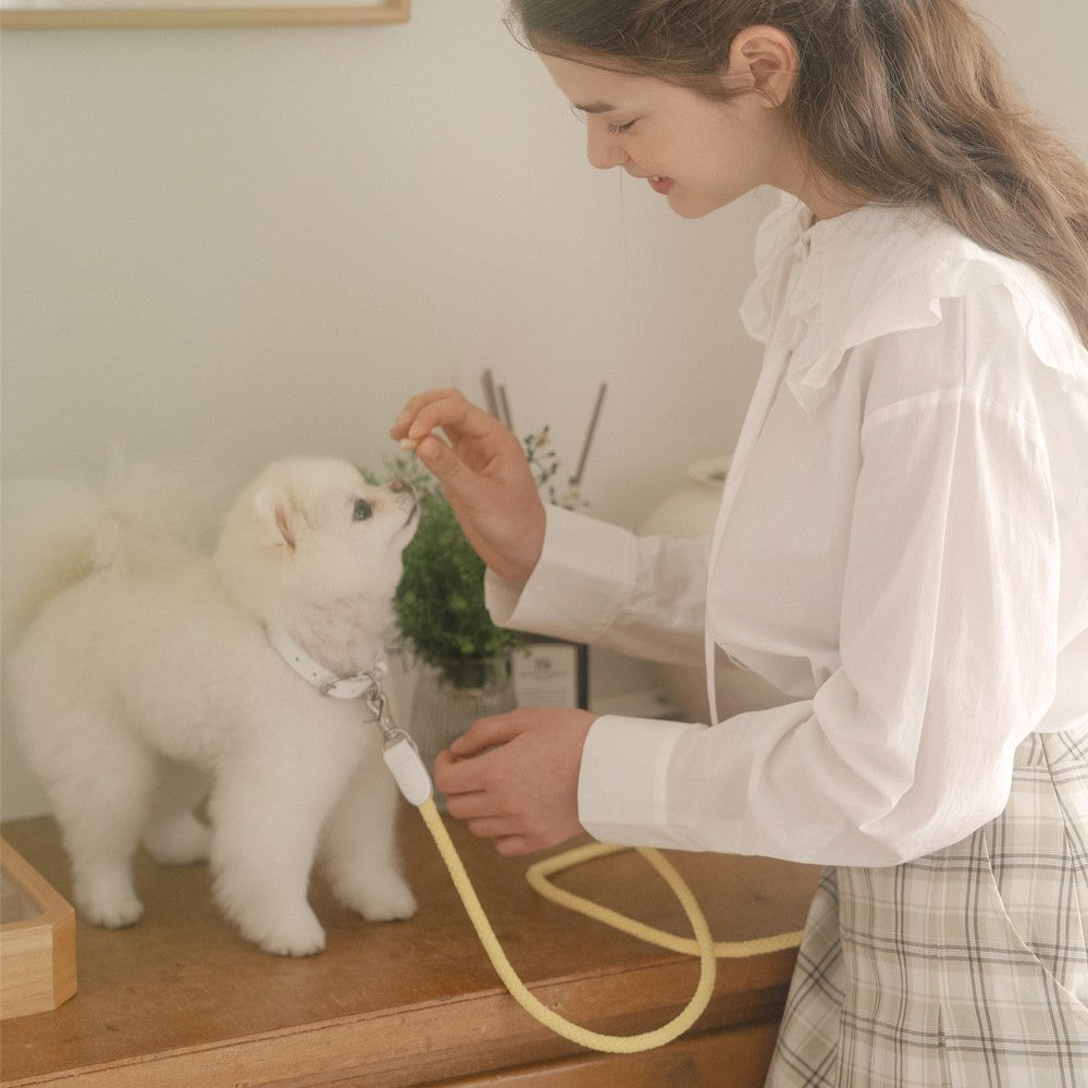 【予約】Rope leash classic - 1.8m(レモン)