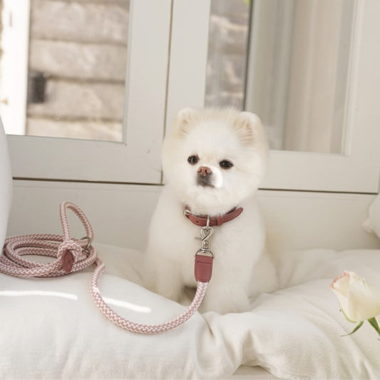 【予約】Rope leash classic - 1.8m(ヴィンテージローズ)