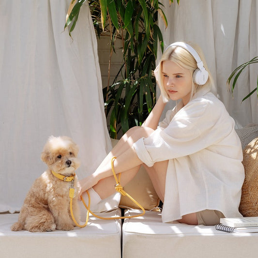 【即納】Slim leash(バナナ) - 1.8m