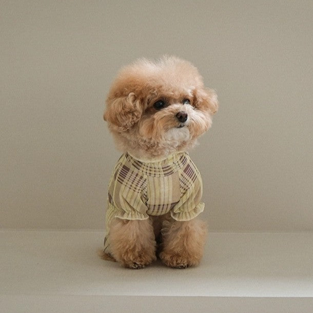 【予約】Breeze check all-in-one