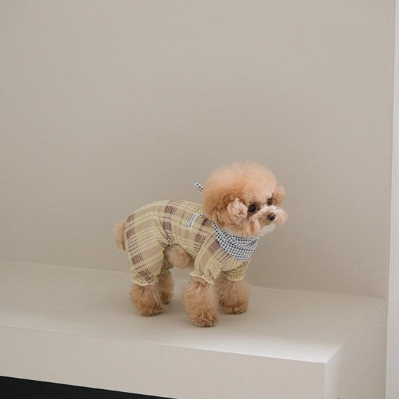 【予約】Breeze check all-in-one