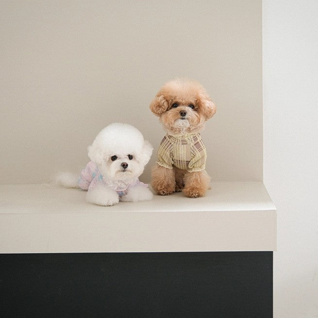 【予約】Breeze check all-in-one