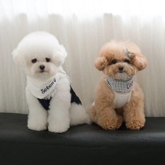 【予約】Checkpop Naming Scarf(ネーム刺繍可)