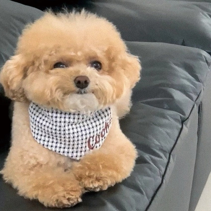 【予約】Checkpop Naming Scarf(ネーム刺繍可)