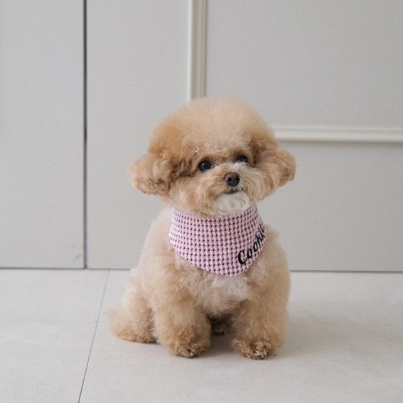 【予約】Checkpop Naming Scarf(ネーム刺繍可)