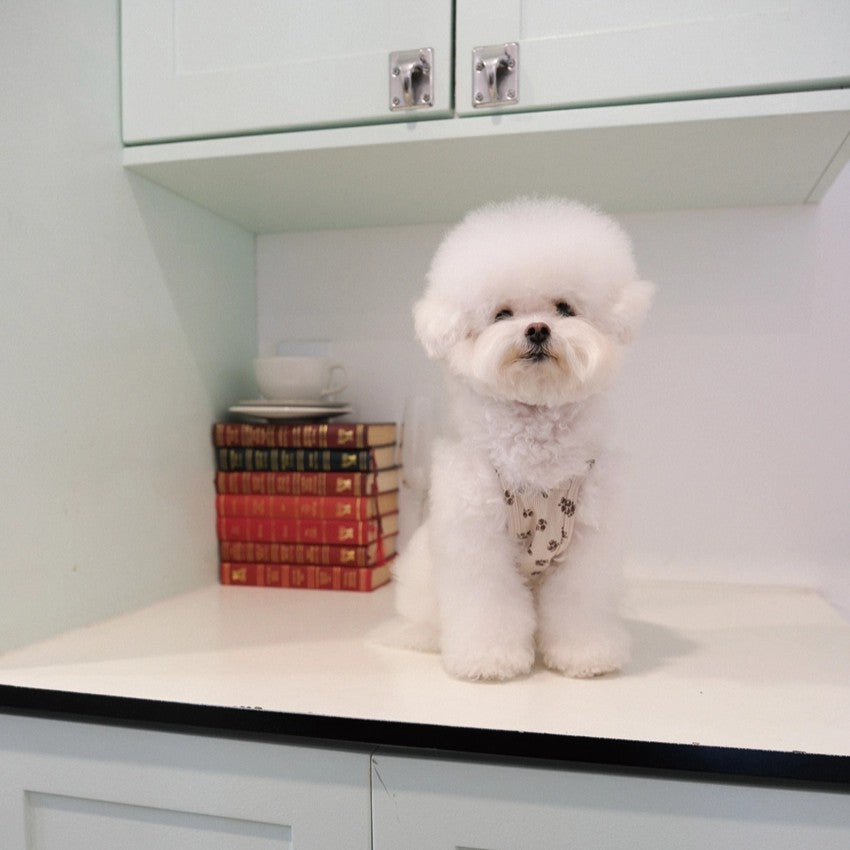 【予約】Floral Crop Sleeveless