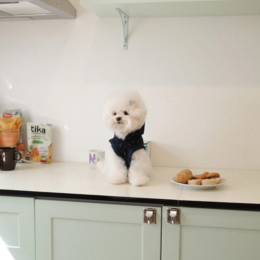 【予約】Floral Hooded Crop Poncho