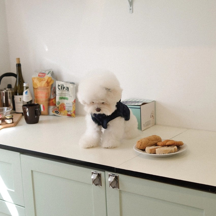 【予約】Floral Hooded Crop Poncho