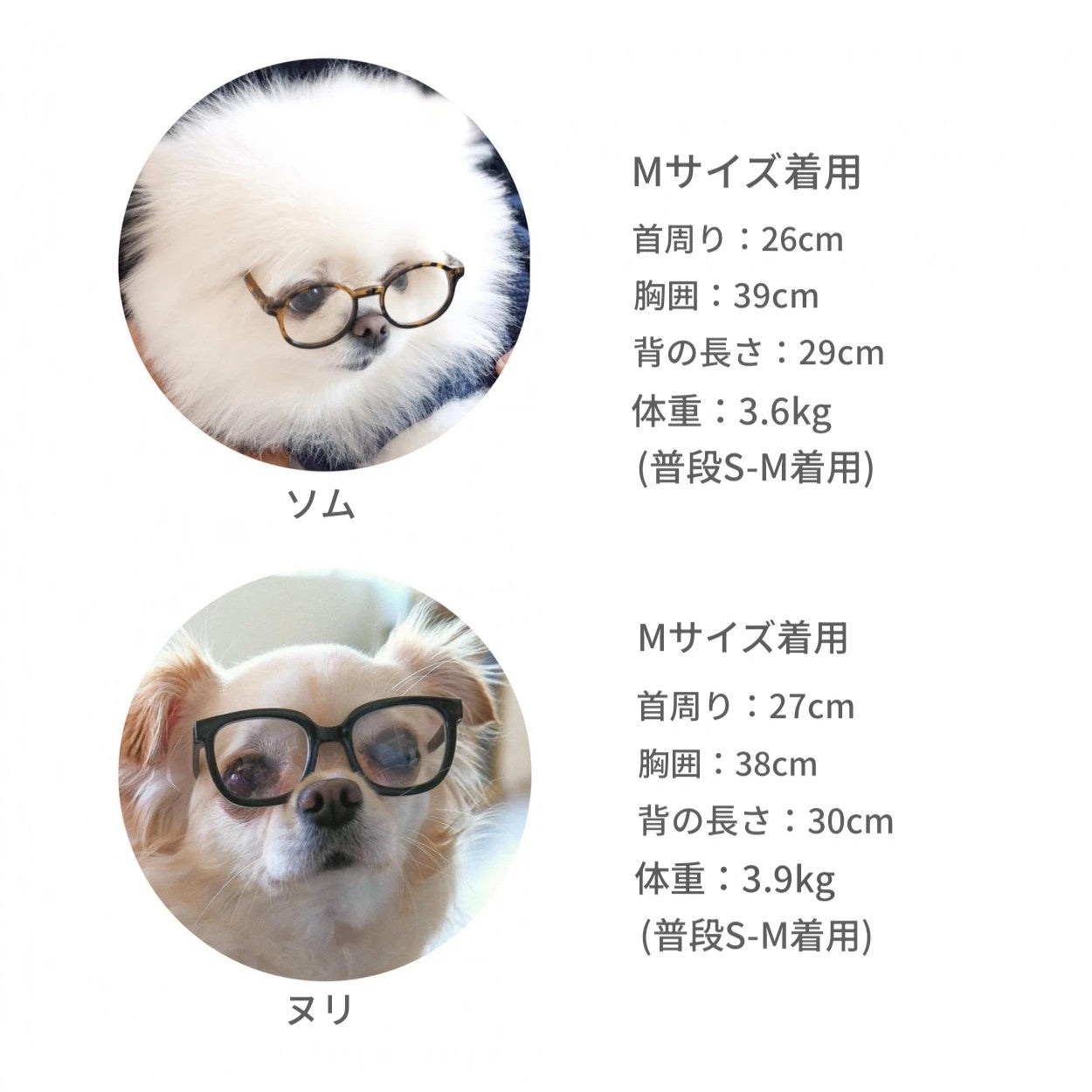 【予約】Half Stripe Tee