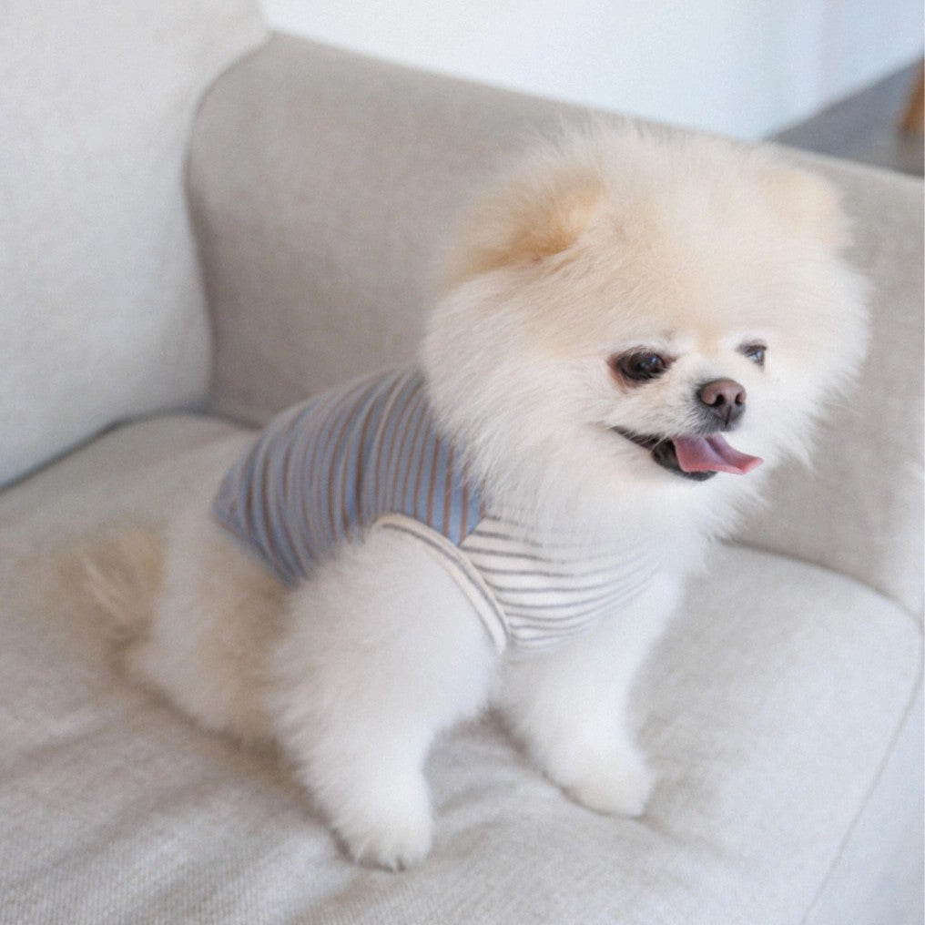 【予約】Half Stripe Tee