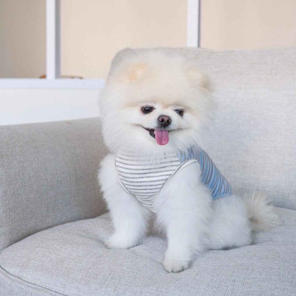 【予約】Half Stripe Tee