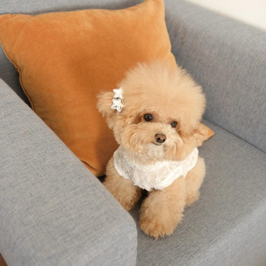 【予約】Lace Hooded Top