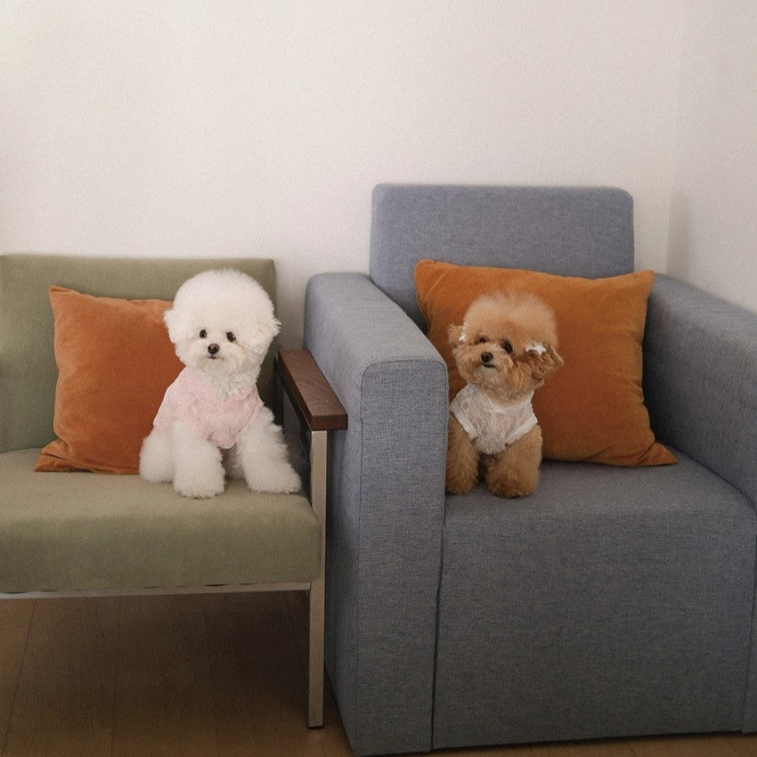 【予約】Lace Hooded Top