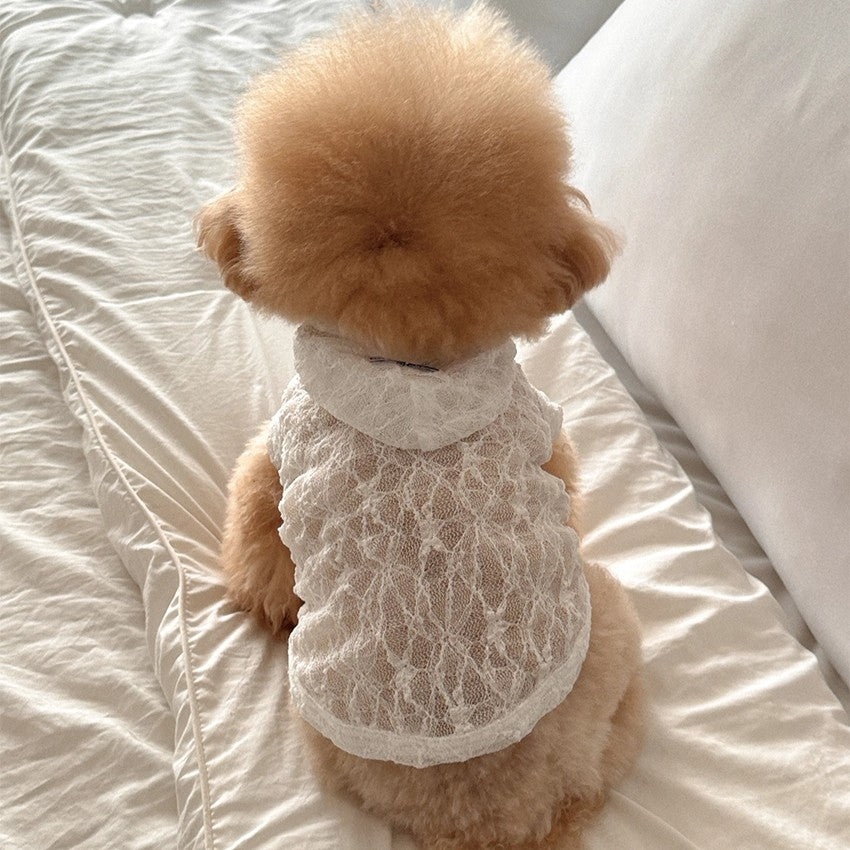 【予約】Lace Hooded Top