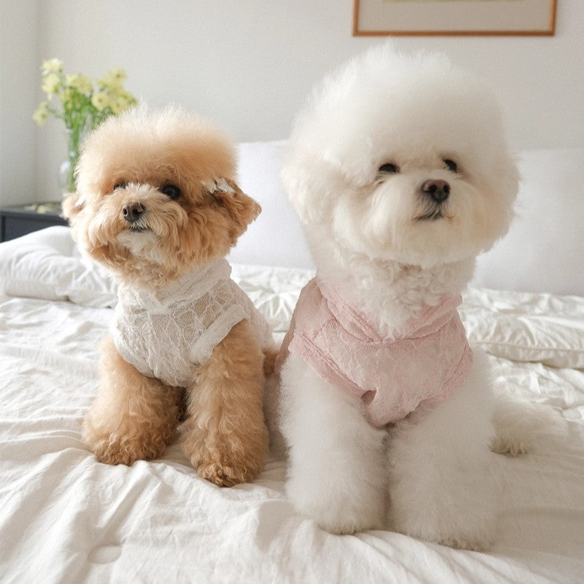 【予約】Lace Hooded Top