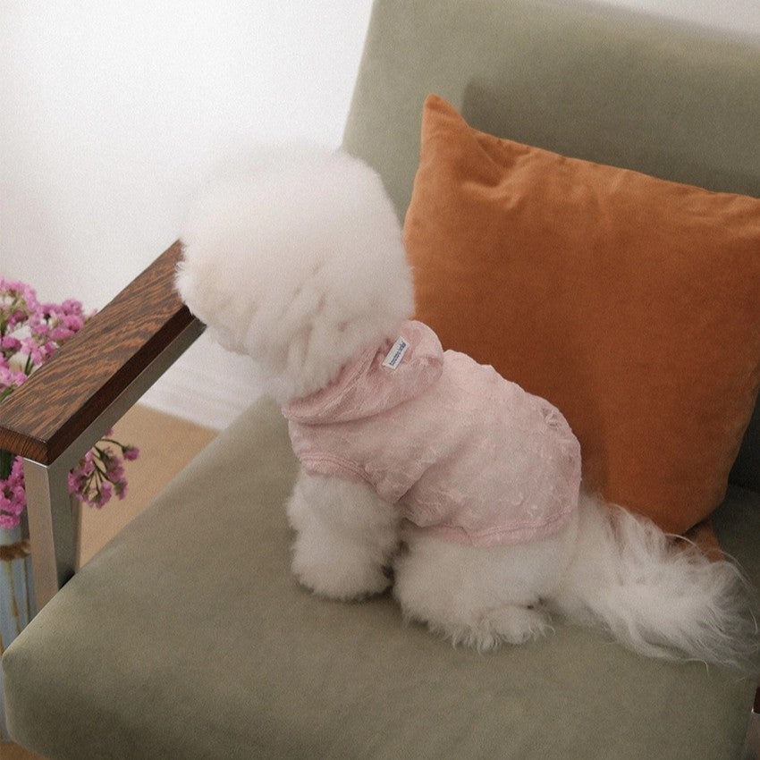 【予約】Lace Hooded Top