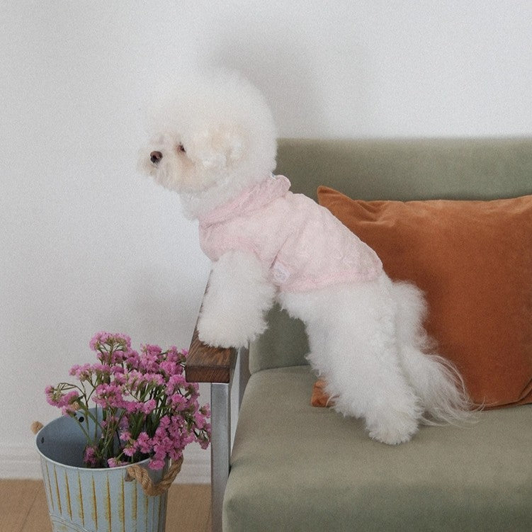 【予約】Lace Hooded Top