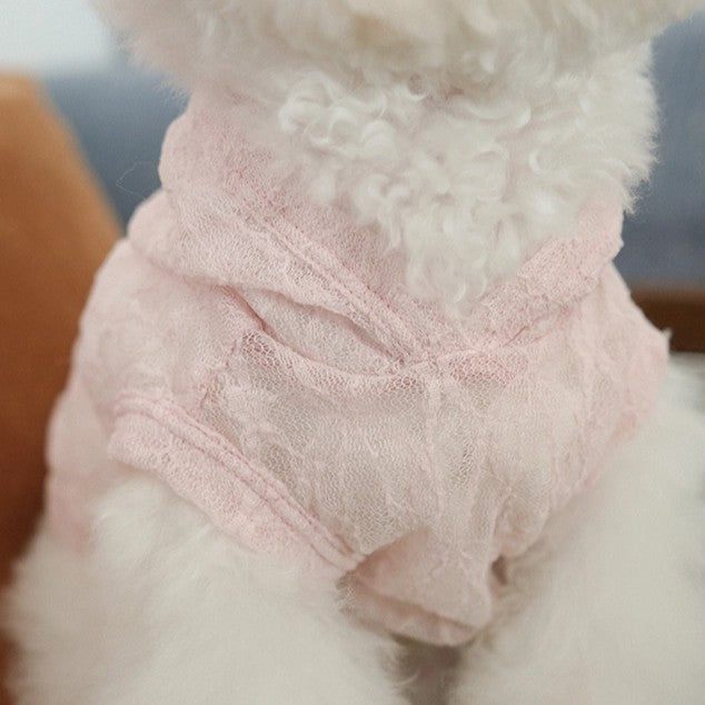 【予約】Lace Hooded Top