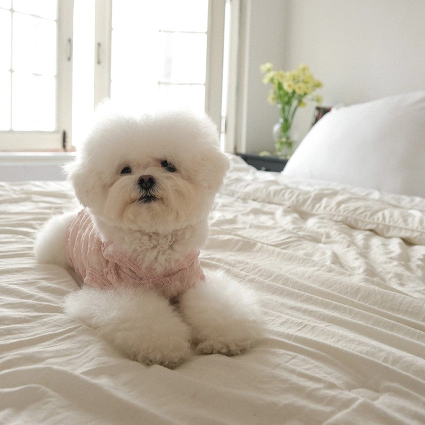 【予約】Lace Hooded Top