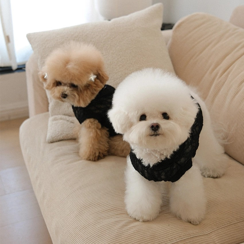 【予約】Lace Hooded Top