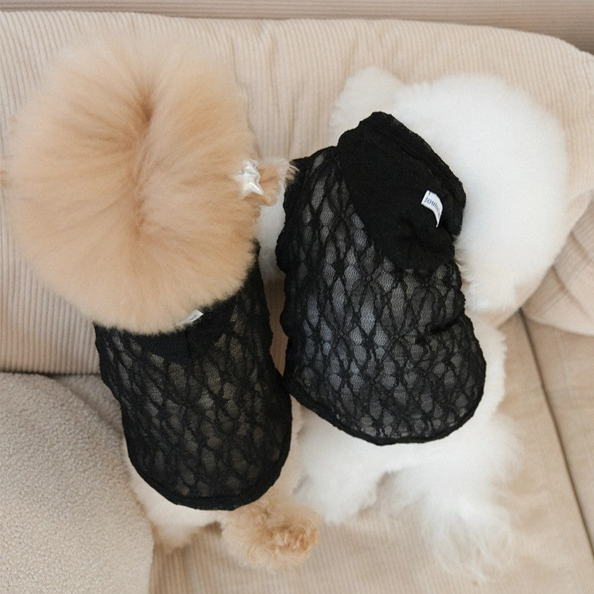 【予約】Lace Hooded Top