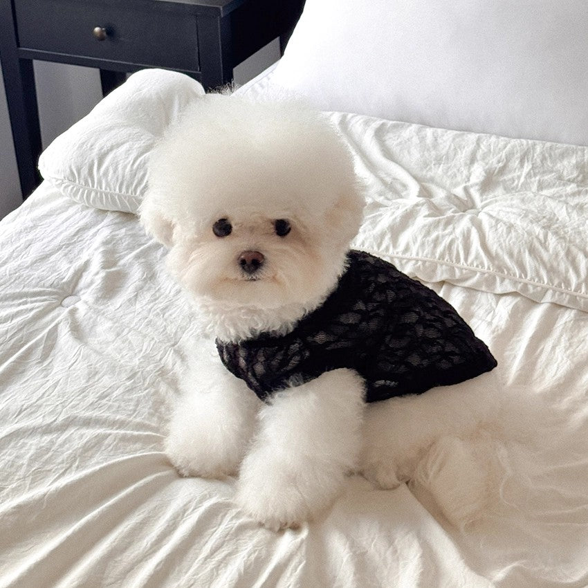 【予約】Lace Hooded Top