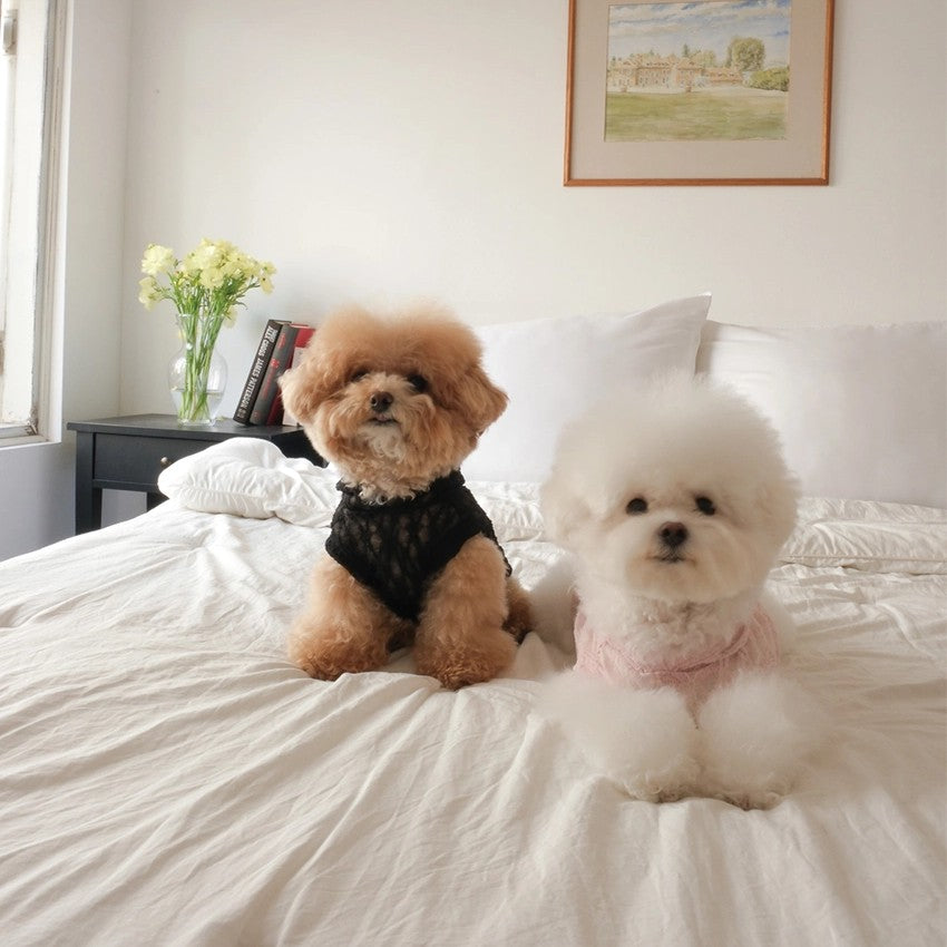 【予約】Lace Hooded Top