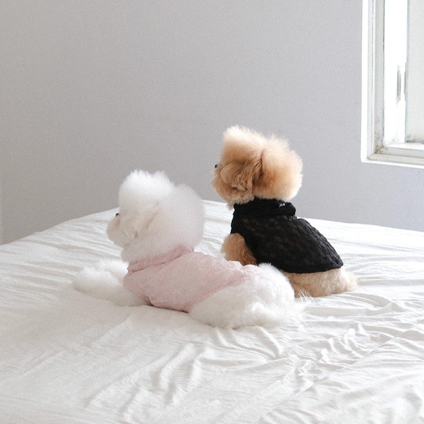 【予約】Lace Hooded Top