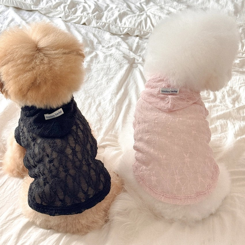 【予約】Lace Hooded Top